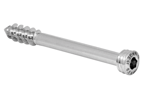lock-screw-ss-407